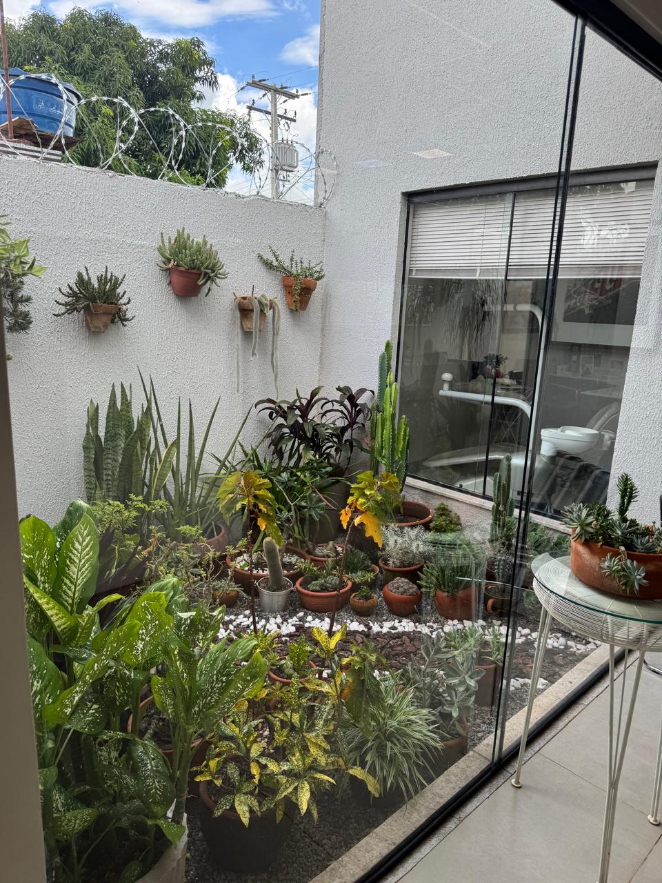 WhatsApp Image 2026-02-06 at 15.29.04 (3)